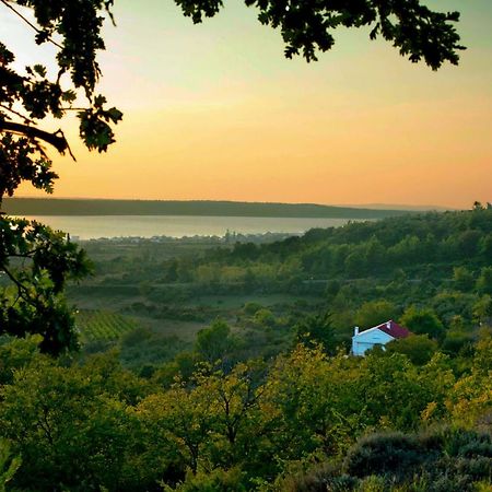 Apartment Robinson Podvrsje Екстериор снимка