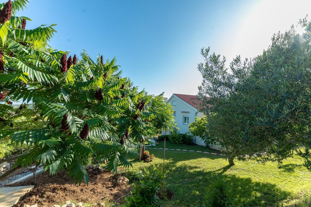 Apartment Robinson Podvrsje Екстериор снимка