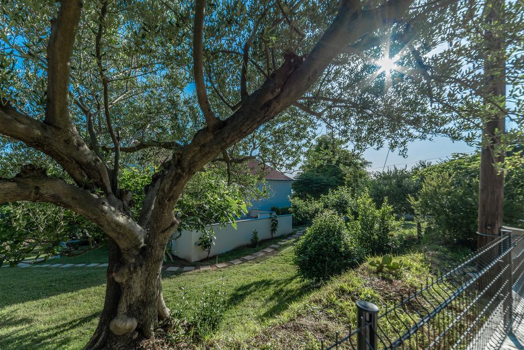 Apartment Robinson Podvrsje Екстериор снимка