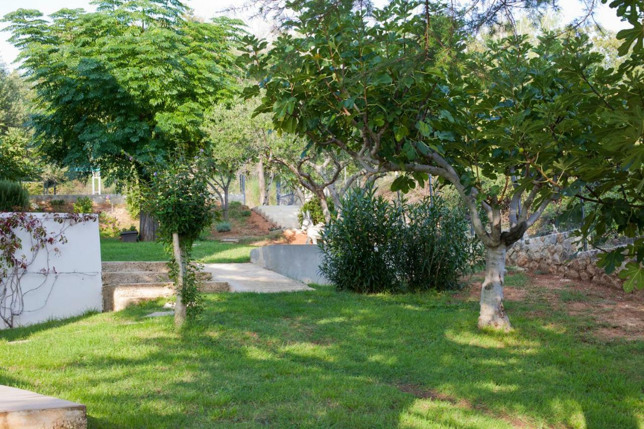 Apartment Robinson Podvrsje Екстериор снимка
