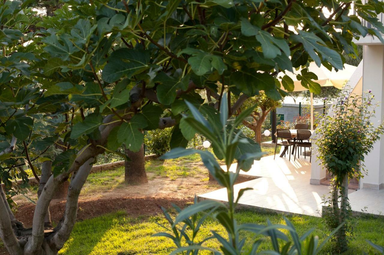 Apartment Robinson Podvrsje Екстериор снимка