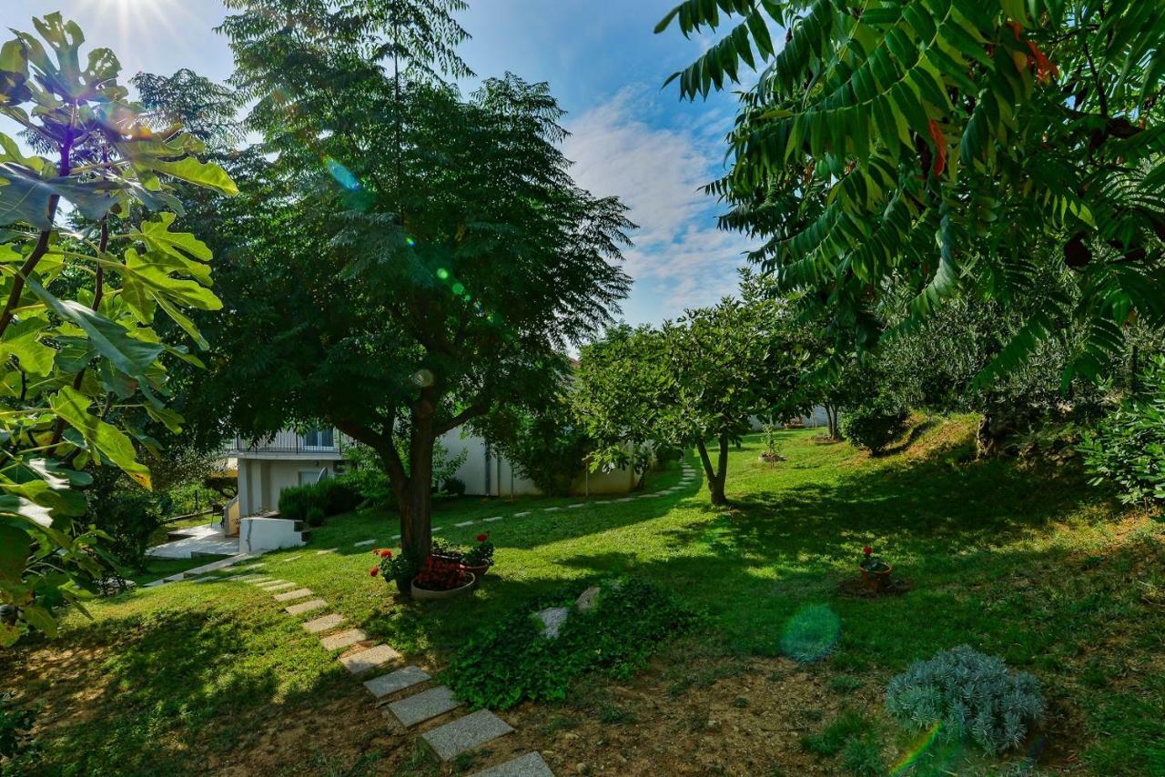 Apartment Robinson Podvrsje Екстериор снимка